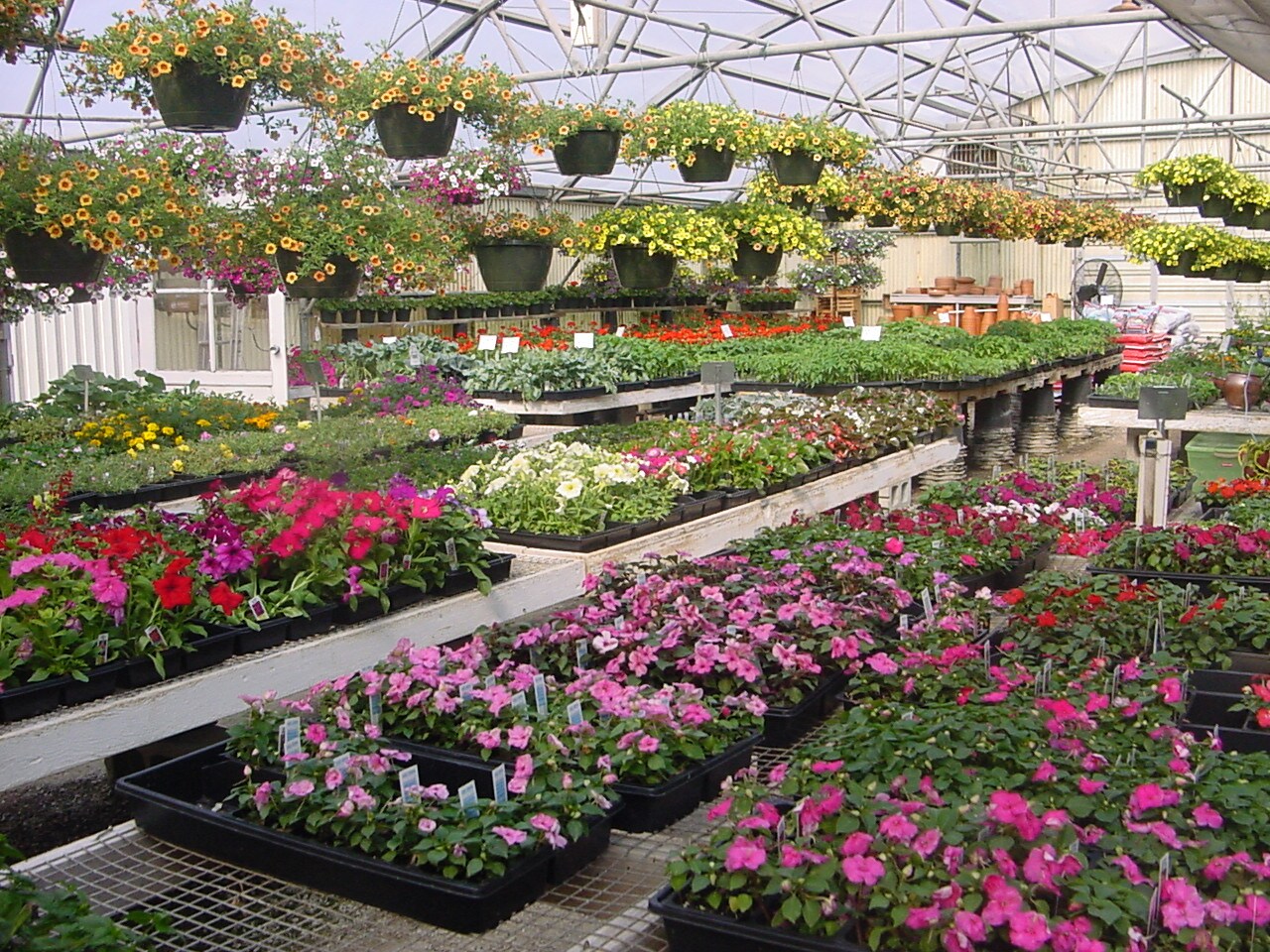 About Hans' Flowers Chanute, KS Florist